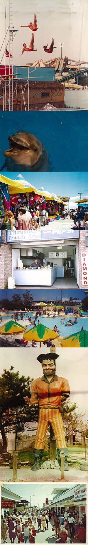 old photos of jolly roger - dolphin - swim divers 